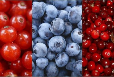 Mrazom sušené ovocie- zdroj vitamínov